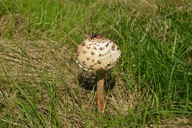 Foto do arquivo: fornecida por 【lotofácil do dia 28 de setembro|resultado da 】