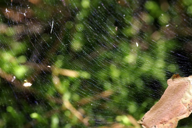 Foto do arquivo: fornecida por 【super x cemedine】