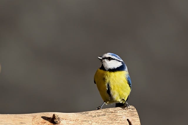 Foto do arquivo: fornecida por 【resultado da loteria federal de hoje por favor】