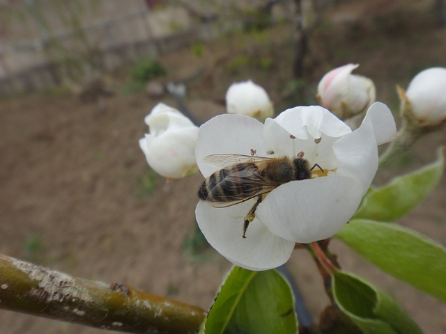 Foto do arquivo: fornecida por 【casoola】