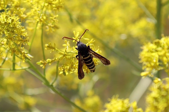 Foto do arquivo: fornecida por 【resultado jogo do bicho da pt de hoje】