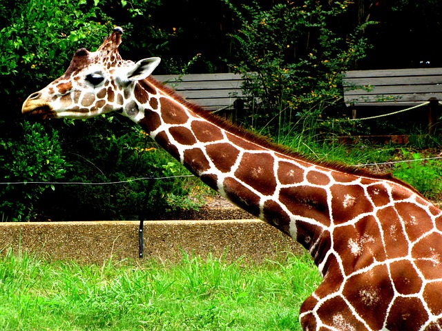 Foto do arquivo: fornecida por 【bonus slotpark】