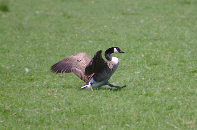 Foto do arquivo: fornecida por 【dá o resultado da mega sena de hoje】