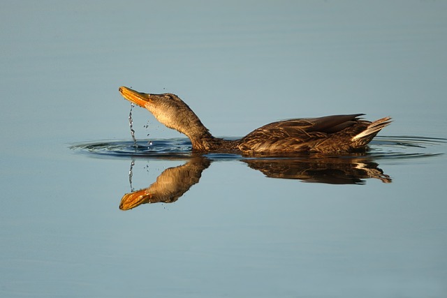 Foto do arquivo: fornecida por 【ganhadores da loteria】