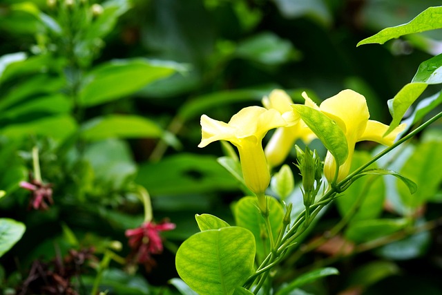 xổ số an giang 7 tháng 11