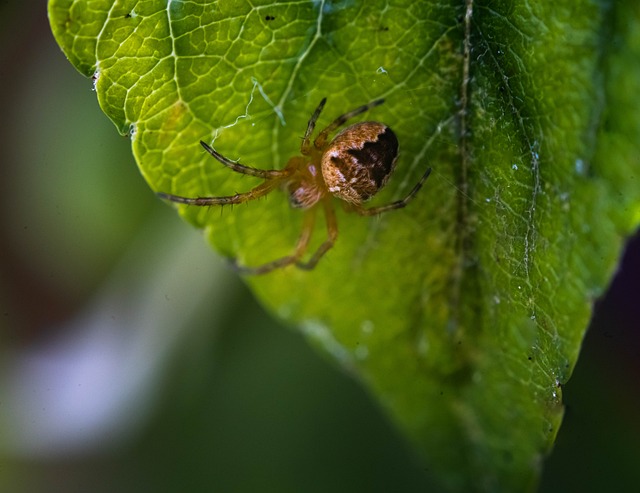 Foto do arquivo: fornecida por 【resultado da lotofácil 2720】