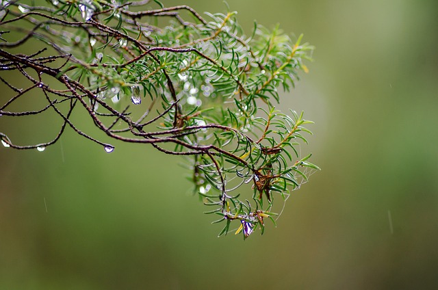 Foto do arquivo: fornecida por 【acertando 13 pontos na lotofácil ganha quanto】