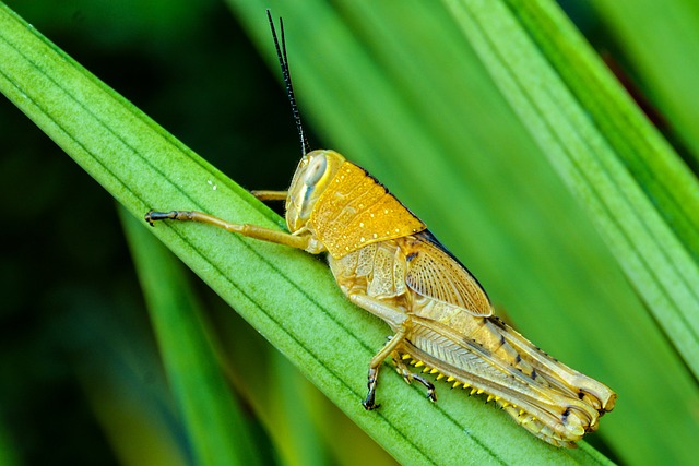 Foto do arquivo: fornecida por 【slotplus】