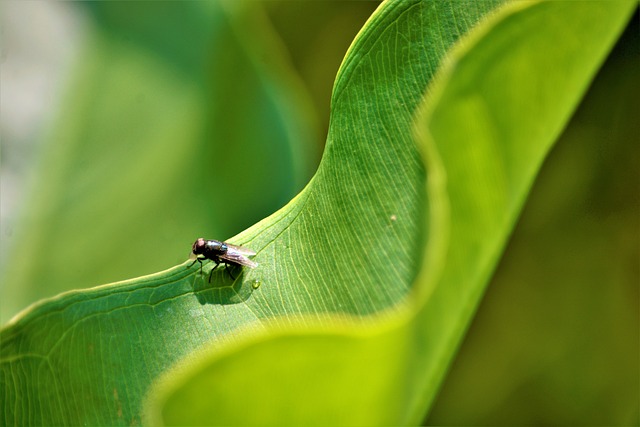 Foto do arquivo: fornecida por 【sua bet】