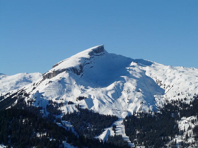 Foto do arquivo: fornecida por 【monte carlo roulette】