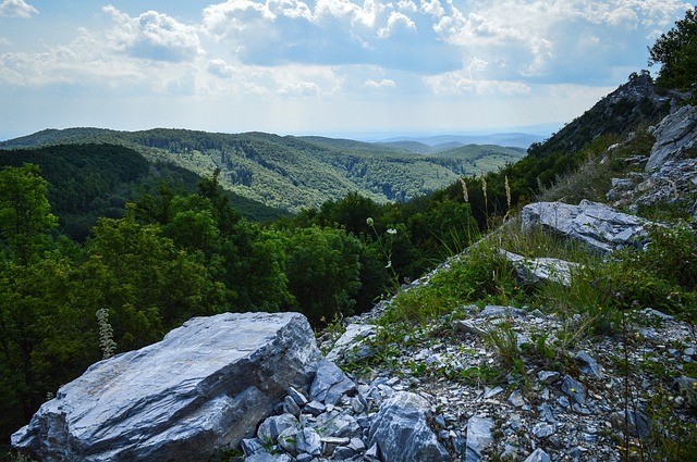 pagamentos cassino