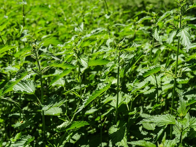 jogo de fazenda trator