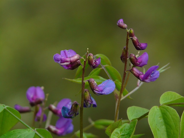 joguinhos de cassino