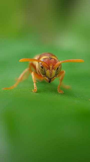 Foto do arquivo: fornecida por 【resultado da caixa loteria】