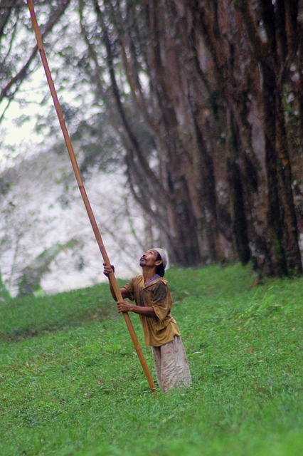 pegue e monte simples