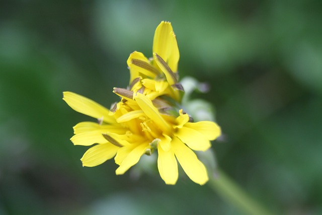 Foto do arquivo: fornecida por 【.bet】