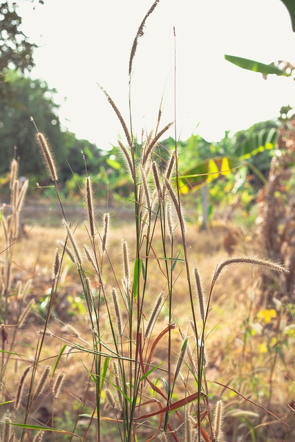 Foto do arquivo: fornecida por 【resultado mega sena 31 12 2019】