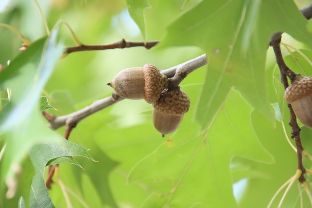 Foto do arquivo: fornecida por 【resultado mega sena 2287】