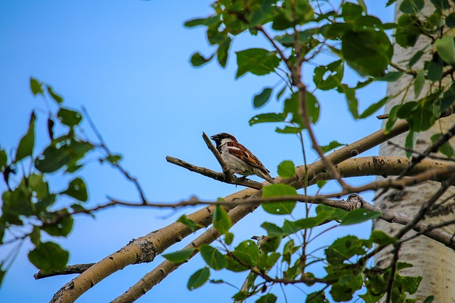 Foto do arquivo: fornecida por 【rmk pg slot】