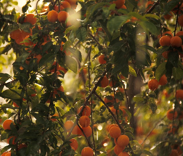 Foto do arquivo: fornecida por 【resultado da mega sena 1317】