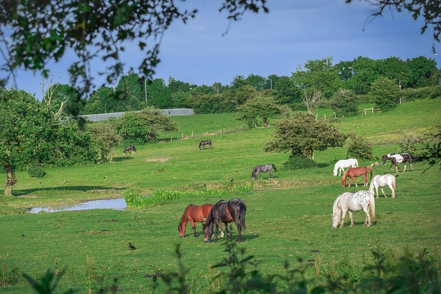 Foto do arquivo: fornecida por 【resultado da lotofácil concu】