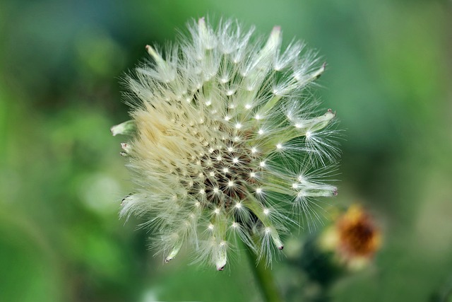 Foto do arquivo: fornecida por 【classificados tim】