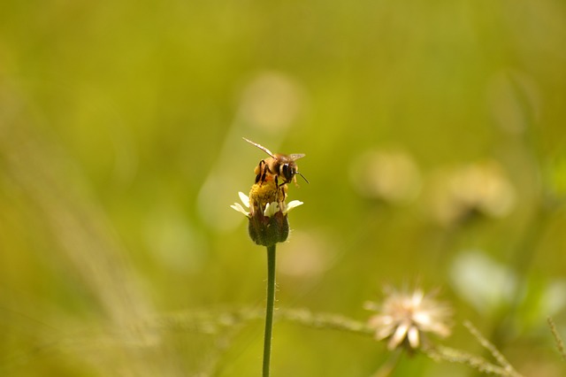 Foto do arquivo: fornecida por 【ARENAPLUS】