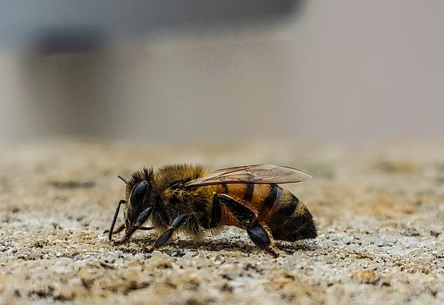 Foto do arquivo: fornecida por 【Ferramenta funcional e eficiente que compensa bem hoje】