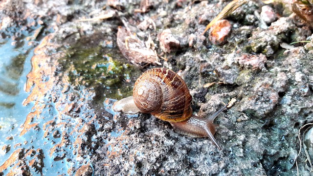 Foto do arquivo: fornecida por 【plataformas com bonus de cadastro】