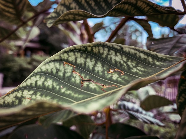 Foto do arquivo: fornecida por 【Bônus em dinheiro no cadastro sem depósito necessário】