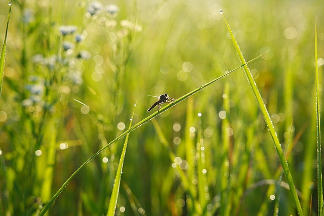 Foto do arquivo: fornecida por 【concurso da mega sena 255】