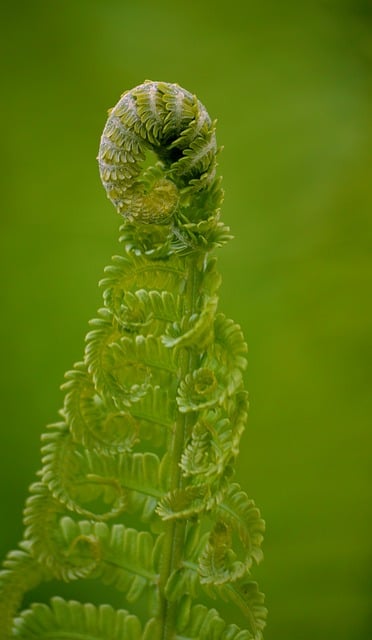 Foto do arquivo: fornecida por 【roulette fibonacci】