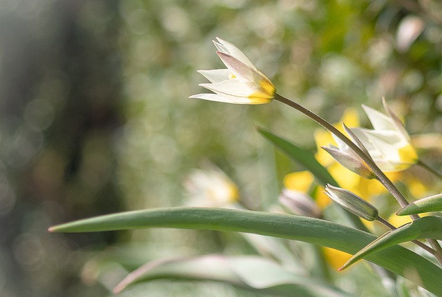 cupom dinheiro blaze