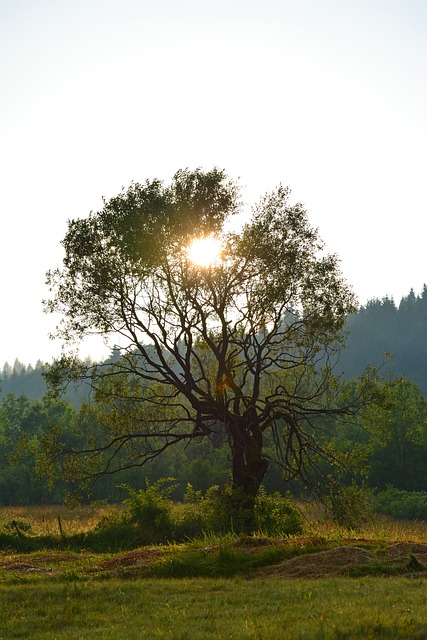 Foto do arquivo: fornecida por 【eu quero resultado da mega sena de hoje】