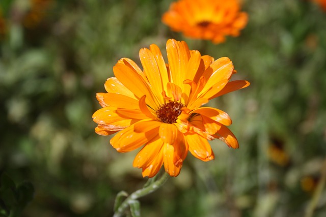 Foto do arquivo: fornecida por 【resultado da lotofácil conc 2696】