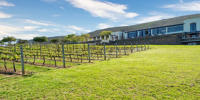 jogo de plantação na fazenda