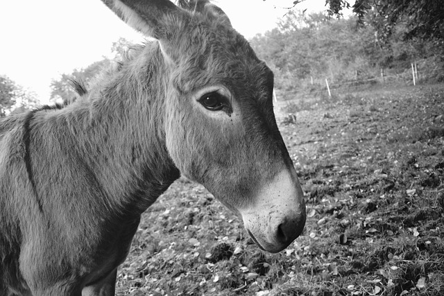 Foto do arquivo: fornecida por 【ganha bet】