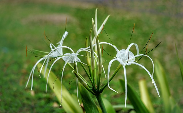 ganha dinheiro