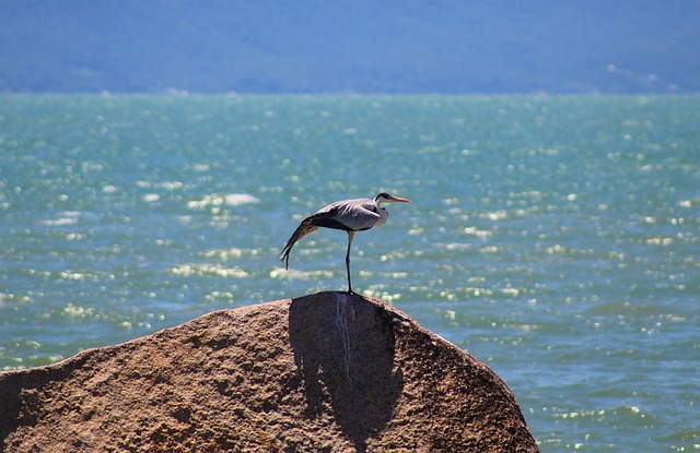 Foto do arquivo: fornecida por 【bahia principe grand cayacoa】