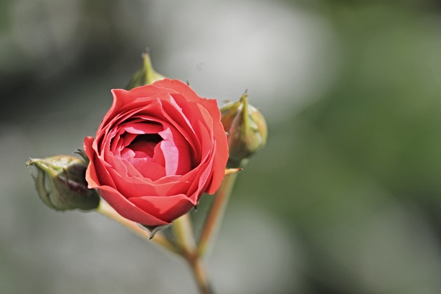 Foto do arquivo: fornecida por 【resultado da quina desta】