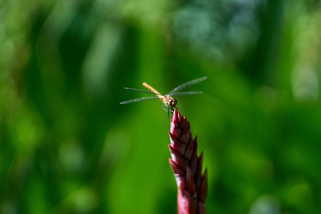 Foto do arquivo: fornecida por 【tudo sobre brabet】