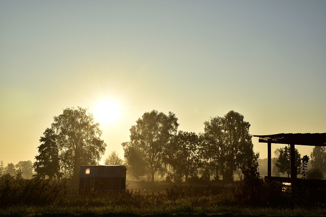 Foto do arquivo: fornecida por 【california lottery】