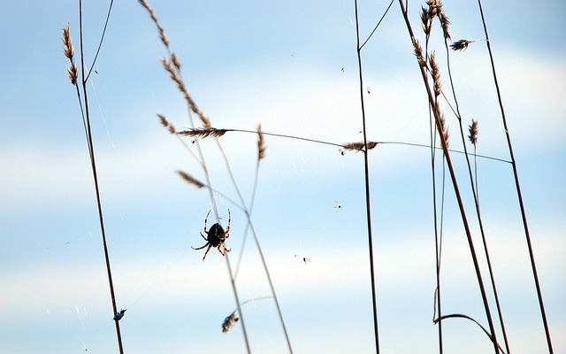 Foto do arquivo: fornecida por 【166bet .com login】