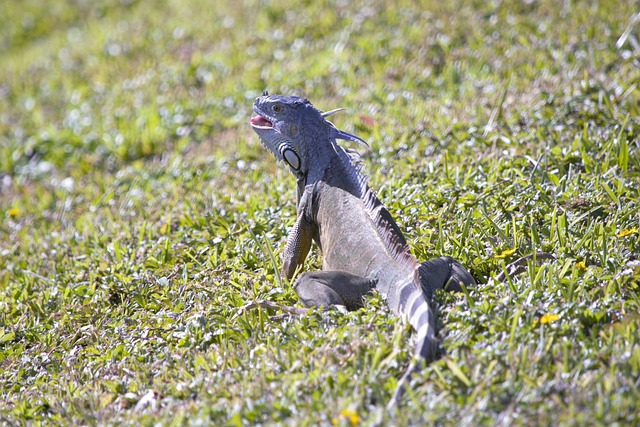 Foto do arquivo: fornecida por 【empréstimo de 300 reais na hora via pix】