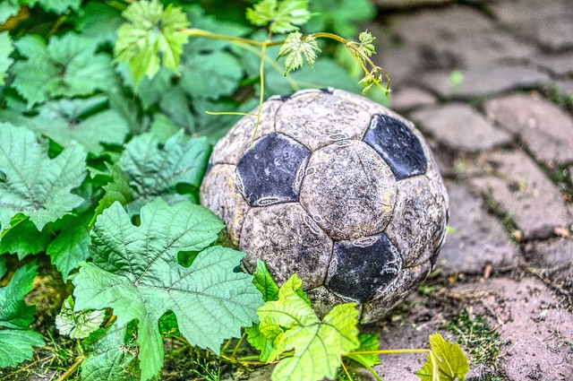 jogo do brasil na copa