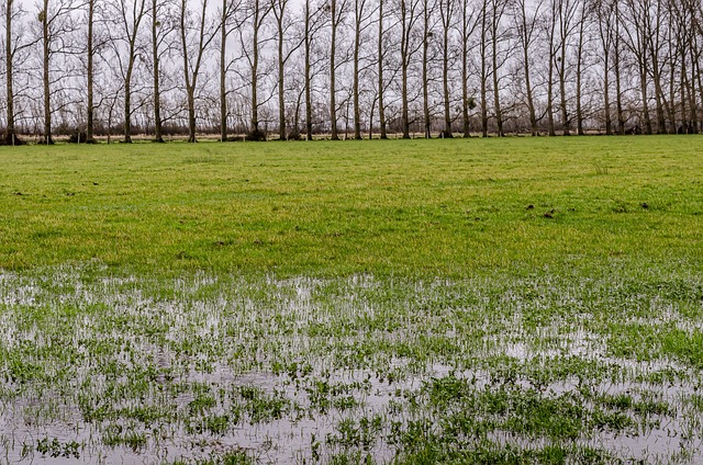 Foto do arquivo: fornecida por 【Cadastre-se e tenha bônus grátis para jogar sem custos】