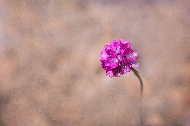 Foto do arquivo: fornecida por 【qual é o preço da aposta da quina】