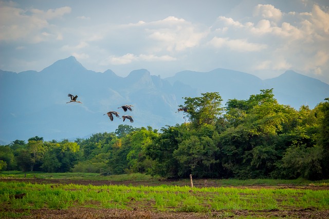 Foto do arquivo: fornecida por 【resultado da mega sena concurso 2220】