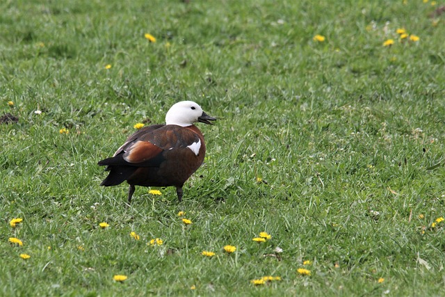 Foto do arquivo: fornecida por 【Sistema atualizado do Tigrinho】