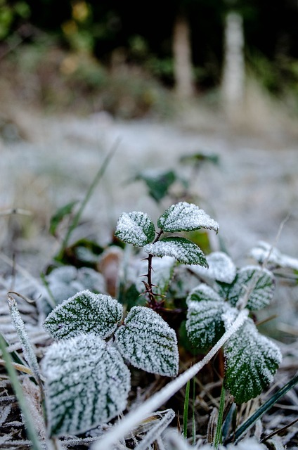 climatempo cassino rio grande do sul